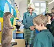  ??  ?? Sarah, Duchess of York was going through her glorious, gawky, gurning routine at her daughter’s wedding, while the Duchess of Cornwall – the Duchess of Rothesay in Scotland – was meeting a stuffed meerkat at a primary school in Aberdeensh­ire, left, as she missed the nuptials