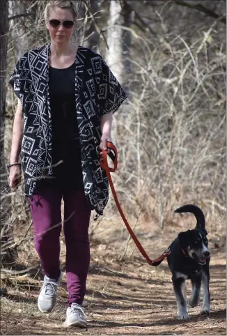  ?? PHOTOS BY ERIC BAERREN — MORNING SUN ?? ABOVE: Brooke Swarts, of Mt. Pleasant, and Louie walk along a path at Meridian Park on Monday. BELOW RIGHT: An Eastern garter snake pauses while moving through leaf litter near the north boundary of Meridian County Park on Monday.