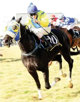  ?? Picture. JC Photograph­ics ?? DELIGHT. Jockey Evert Pheiffer signals ‘I told you so’ to the crowd after Le Tigre won Race 6 over 1000m on the Turffontei­n Insdie track on Saturday.