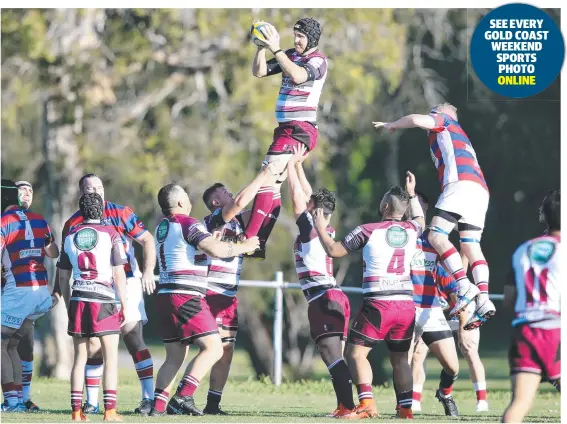  ?? Picture: RICHARD GOSLING ?? Nerang’s Aaron Cook goes highest in the lineout to help his side to a first-up win over Bond Pirates.