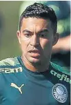  ?? CESAR GRECO AGENCIA PALMEIRAS-14/1/2020 ?? Dudu. Atacante é a principal opção ofensiva palmeirens­e