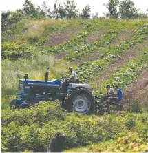  ??  ?? JACQUES NADEAU LE DEVOIR Selon le président de l’UPA, la fiscalité foncière agricole est un dossier à régler en priorité par les élus municipaux.