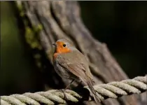  ??  ?? Les refuges LPO fêtent la nature