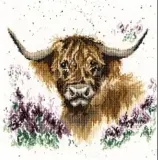  ??  ?? Highland Cattle lyn1299