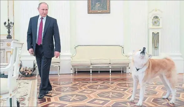  ?? ALEXEY DRUZHININ / AFP ?? El presidente ruso, Vladímir Putin, junto a su perro, Yume, la pasada semana en el Kremlin