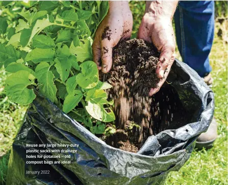  ?? ?? Reuse any large heavy-duty plastic sacks with drainage holes for potatoes – old compost bags are ideal