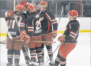  ?? DESIREE ANSTEY/JOURNAL PIONEER ?? The Arsenault’s Fish Mart Western Red Wings celebrate scoring a goal during an Island Junior Hockey League regular-season game against the Kensington Moase Plumbing and Heating Vipers in Kensington on Dec. 10.