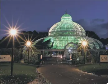  ??  ?? Sefton Park set to stage a music gig with fans (photo: Paul Ellis/AFP via Getty Images)