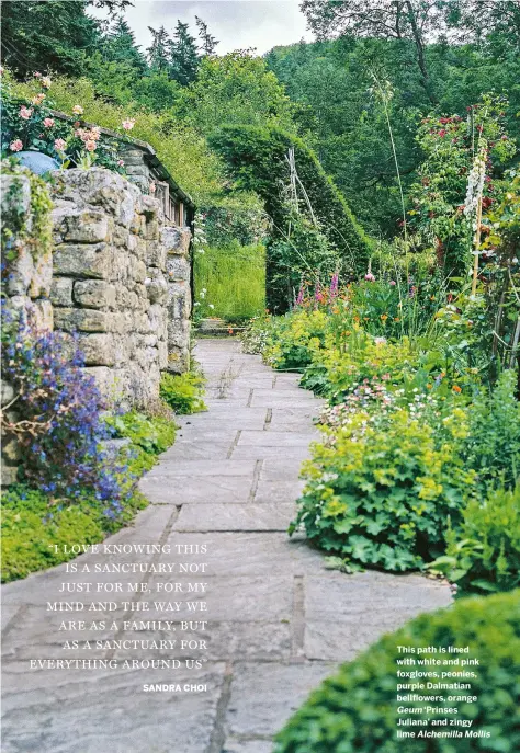  ??  ?? This path is lined with white and pink foxgloves, peonies, purple Dalmatian bellflower­s, orange
Geum ‘Prinses Juliana’ and zingy lime Alchemilla Mollis