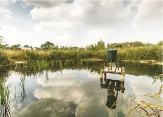  ??  ?? Enlisting the help of gamekeeper­s to rejuvenate flight ponds could help to improve our water quality