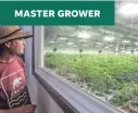  ?? RICHARD LUI/THE DESERT SUN ?? Cannabis grand master grower Patrick Kelly is at one of his grow houses.