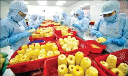  ?? VIETNAM NEWS AGENCY/VIET NAM NEWS ?? A fruit processing line at An Giang Fruits-Vegetables and Foodstuff JSC.