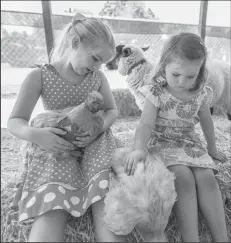  ?? NEWS-SENTINEL FILE PHOTOGRAPH ?? Haley Foley, left, and Kara Foley hold and pet chickens at the Critter Corral.