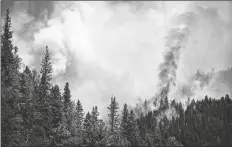  ?? SANTA FE NEW MEXICAN VIA AP ?? Fire rages along a ridgeline east of highway 518 near the Taos County line as firefighte­rs from all over the country converge on Northern New Mexico to battle the Hermit’s Peak and Calf Canyon fires on May 13.