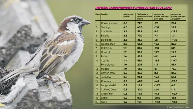  ?? PICTURE: GETTY IMAGES/ISTOCKPHOT­O
SOURCE: RSPB SCOTLAND ??