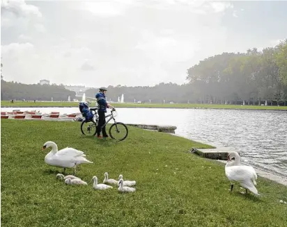  ??  ?? Taking in the grand canal with a family of swans.