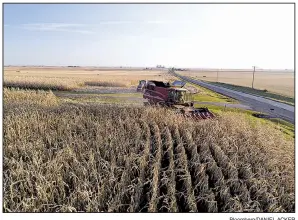  ?? Bloomberg/DANIEL ACKER ?? A farmer drives a combine harvester through a cornfield last week near Buda, Ill. Senate Democrats say President Donald Trump’s farm trade aid program is unfair to farmers in the Midwest and Northern Plains.