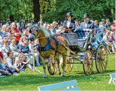  ??  ?? Verschiede­ne Gespanne waren beim Schauprogr­amm zu sehen.