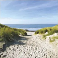  ??  ?? Niemand zegt dat landschaps­foto’s liggend moeten zijn. Je kunt ook staande foto’s maken in 2:3verhoudin­g om het pad door de duinen en de blauwe hemel te benadrukke­n.
Kies je voor het vierkante formaat, dan is er minder lucht zichtbaar. Het pad op de...