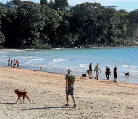  ?? DENISE PIPER/FAIRFAX NZ ?? Local boards on the North Shore are calling for feedback on the plans which will shape the next few years and outline board priorities and projects.