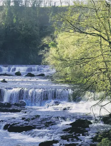  ?? PICTURES: GUY CARPENTER/JPIMEDIA/PA. ?? LET’S CHUTE: Steven, opposite, loves to visit Aysgarth Falls, left, in the Dales and would like to take Joe Root, inset below, out for lunch.