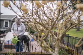  ?? PHOTOS BY NATHAN HOWARD — THE ASSOCIATED PRESS ?? Joyce Ares and her poodle Oliver water a recently-planted peony in her back garden on Friday in Canby, Ore.