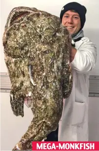  ??  ?? MEGA-MONKFISH