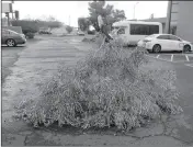  ?? Buy these photos at YumaSun.com PHOTOS BY RANDY HOEFT/YUMA SUN ?? A LARGE TREE BRANCH BLOWN in from somewhere unknown sits in the parking lot of the United Cerebral Palsy of Southern Arizona parking lot during Friday’s afternoon storm. A large Palo Verde tree near City Hall lies on its side (right) after being...