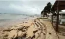  ?? Michael Arevalo/ AFP/Getty Images ?? Palm trees are buffeted ahead of Julia’s arrival on San Andres Island, Colombia, on Saturday. Photograph: