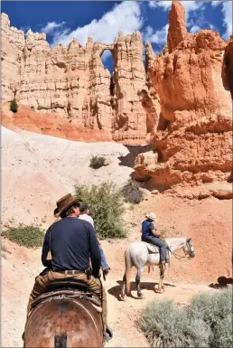  ??  ?? Riding mules and horses through Bryce Canyon... so beautiful!