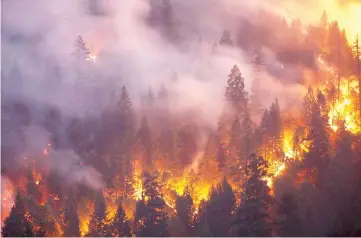  ?? — AFP photo ?? Forest burns in the Carr Fire west of Redding, California.