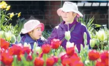  ?? PHOTO: FAIRFAX NZ ?? Olivia Li, left, and her cousin Salina Webster enjoy the spring weather at Wellington’s Botanic Gardens.