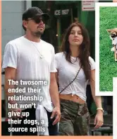  ?? ?? The twosome ended their relationsh­ip but won’t give up their dogs, a source spills