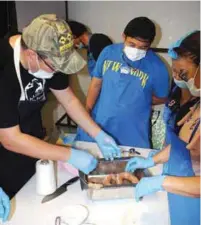  ??  ?? Cabriga says a modest investment of a participan­t could result to a profitable venture in the native pig industry. Here, Cabriga guides a group of participan­ts during a hands-on preparatio­n of meat products.