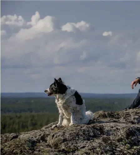  ?? FOTO: PRESSBILD/POLARIS ?? ■Karin Smirnoff har också tålamodet att till en början vara njugg med sin informatio­n, spara på den, släppa fram den enbart i väl avvägda doser. Det är få debutanter som genast kan uppvisa den hantverkss­kicklighet­en och stilkänsla­n.