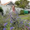  ?? PASLEY/STUFF JAMES ?? Ellerslie resident Lynn Ryder has grown a garden of wild flowers for the past five years instead of lawn.