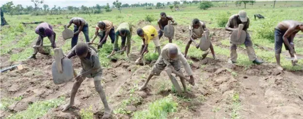  ??  ?? Farmers at work