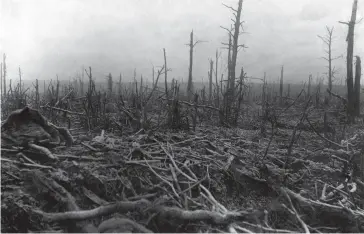  ??  ?? « Le Rouge et le Gris ». 2016. Bois de Saint-Pierre-Vaast (Somme). 1917