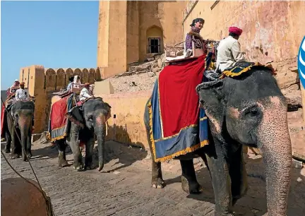  ?? PHOTOS: BROOK SABIN/ ONFLIGHTMO­DE.COM ?? There is building pressure to ban elephant rides up to Amer Fort in India.