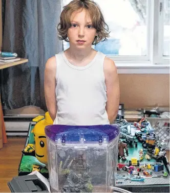  ?? CAM JAMIESON PHOTO ?? Eleven-year-old Ethan Jamieson is starting his own ant colony after researchin­g them for a school project.