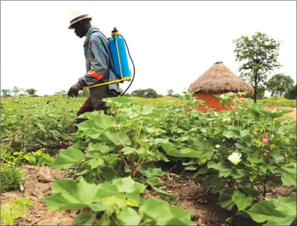  ??  ?? Local farmers can now access bank loans using 99-year leases