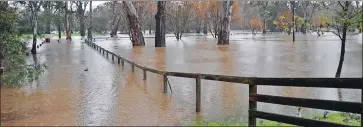  ?? Photo: Bianca Hall ?? Rising: Goulburn Park in Seymour has been consumed by the rising Goulburn River.