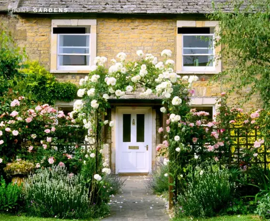  ??  ?? COMING UP ROSES
Above A yellow stone cottage lends itself to an all-out romantic treatment. Strongly scented pink ‘Albertine’ roses ramble over trellises, while the doorway is perfectly framed by an explosion of ‘Climbing Iceberg’ roses