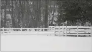  ?? STEVEN HENSHAW — MEDIANEWS GROUP ?? Rescue crews maneuver along the banks of Monocacy Creek behind a residence on Galahad Lane off Monocacy Creek Road in Amity Township where a horse was stranded in water.