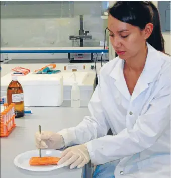  ?? Good for you:
Photo: FAIRFAX NZ ?? Nutrition researcher Melanie Pauga prepares a salmon sample for laboratory analysis. Salmon is a rich source of omega-3, important for heart health.