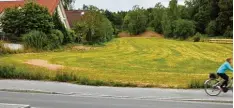  ?? Archivfoto: Peter Fastl ?? Der Streit dreht sich um diese 1,3 Hektar große Wiese am nördlichen Rand von Berg heim.