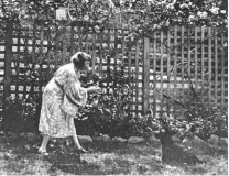  ??  ?? LEFT: May Gibbs in her sun-drenched studio at Nutcote, in Sydney’s Neutral Bay. BELOW: May in the garden.