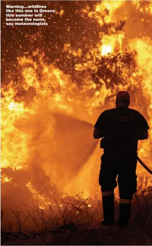  ?? ?? Warning...wildfires like this one in Greece this summer will become the norm, say meteorolog­ists