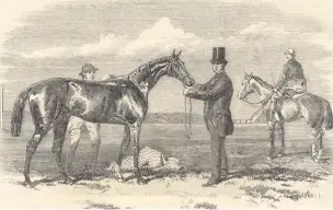  ??  ?? ‘Diothanthu­s’ , winner of the Two Thousand Guineas in 1860