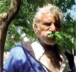  ??  ?? ABOVE: Mehmood Butt enjoys a mouthful of his favourite food: trees.